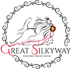 Great Silkyway logo