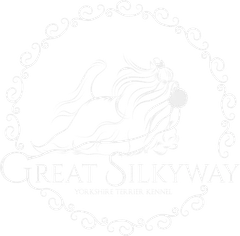 Great Silkyway logo